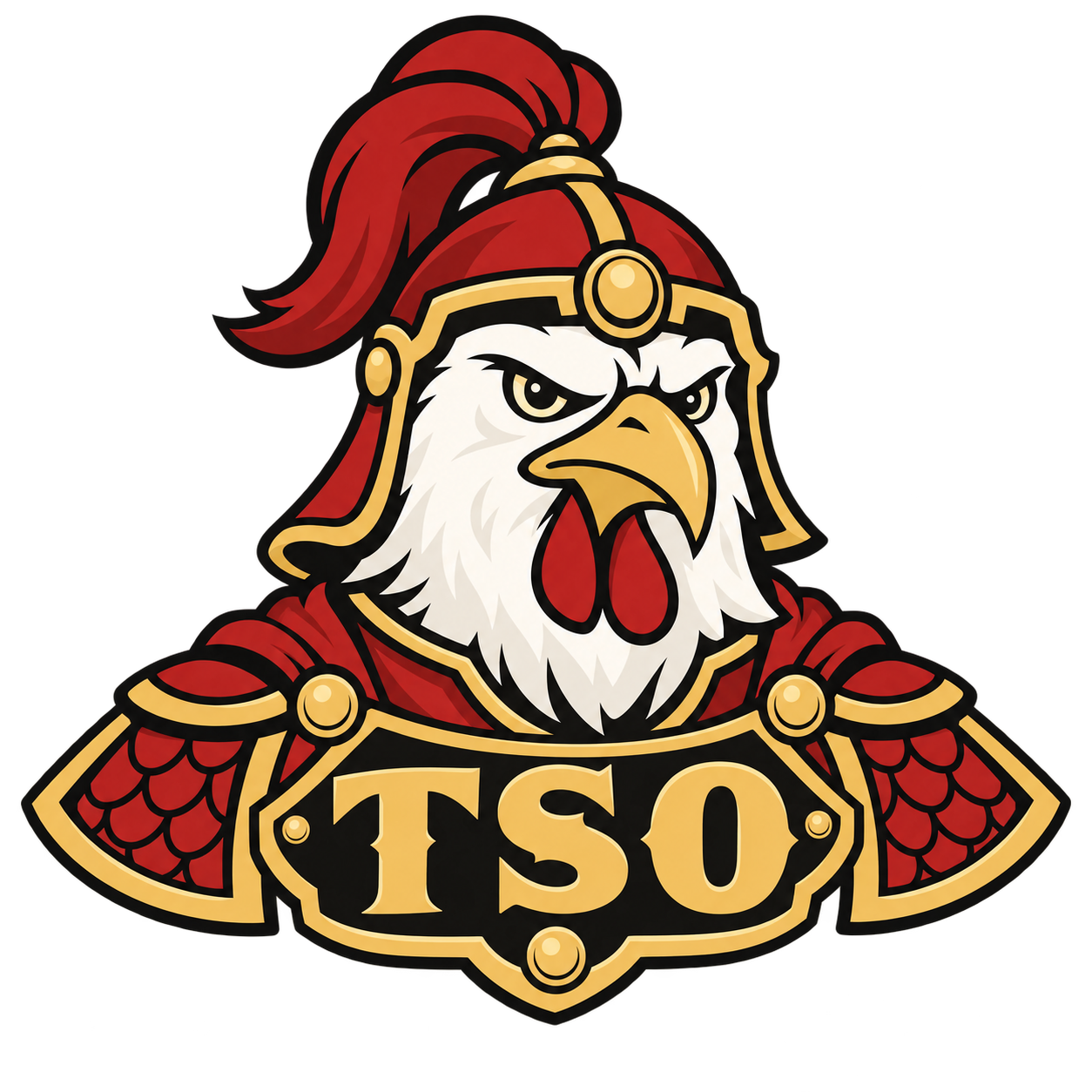General Tso chicken mascot wearing a red helmet and armor bearing TSO